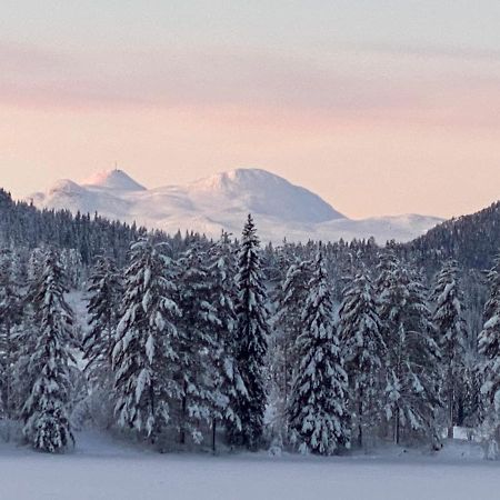 Tuddal Hyttegrend, Gamlestugu, Telemark Εξωτερικό φωτογραφία