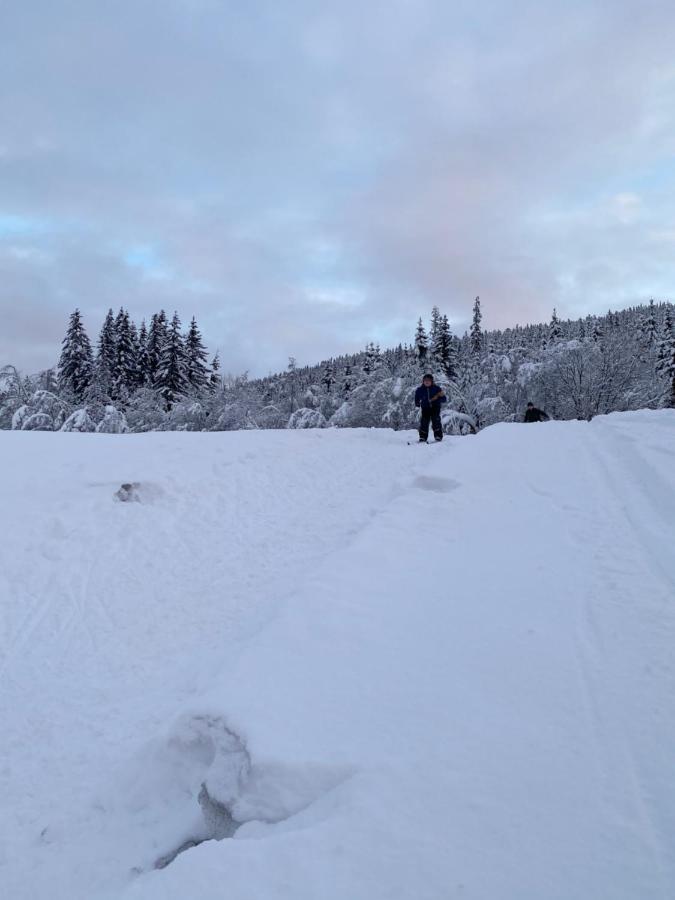 Tuddal Hyttegrend, Gamlestugu, Telemark Εξωτερικό φωτογραφία