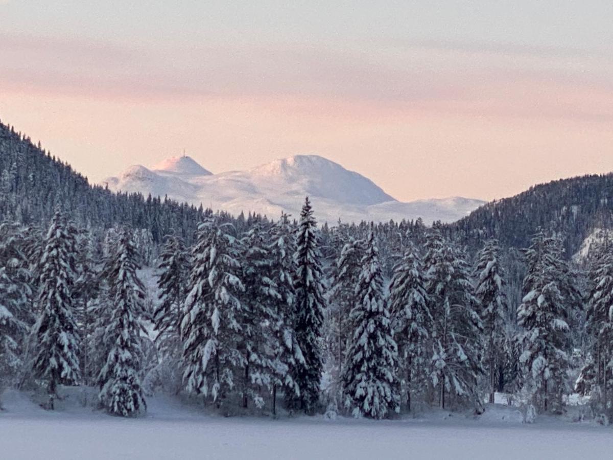 Tuddal Hyttegrend, Gamlestugu, Telemark Εξωτερικό φωτογραφία